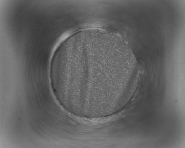 X0000063500006200602101911