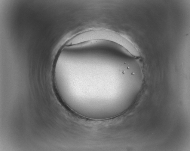 X0000063500007200602101911