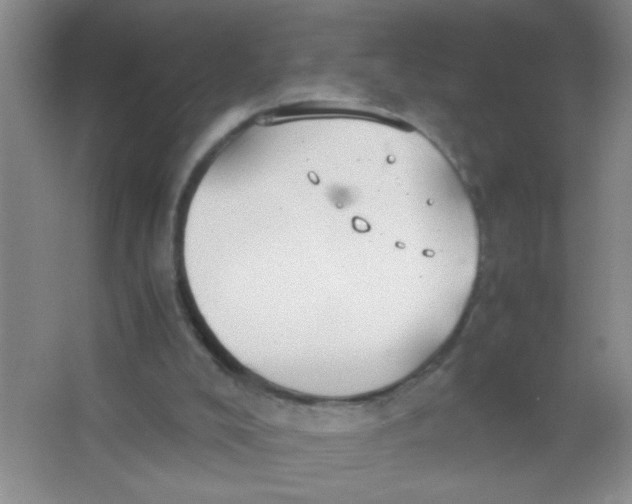 X0000063500008200602101911