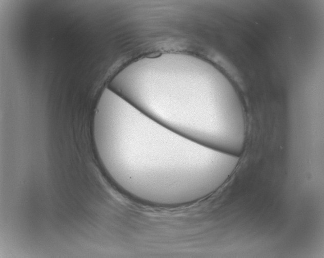 X0000063500009200602101911