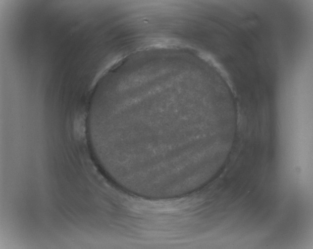 X0000063500010200602101911