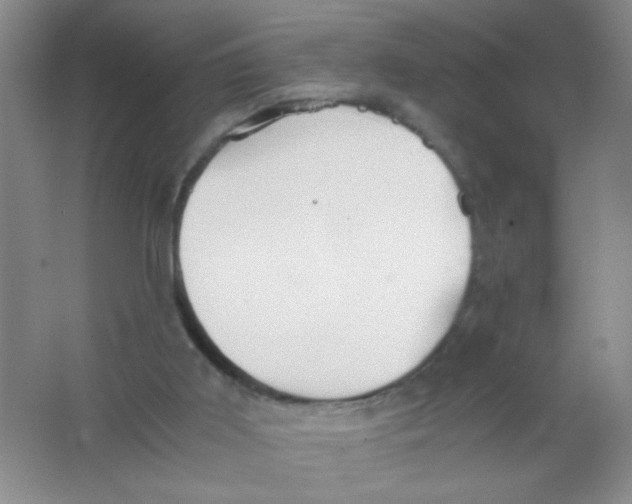 X0000063500011200602101911