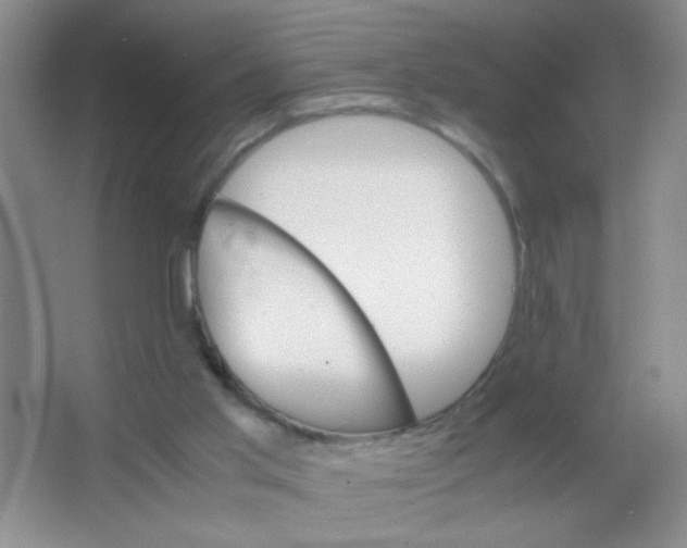 X0000063500013200602101911