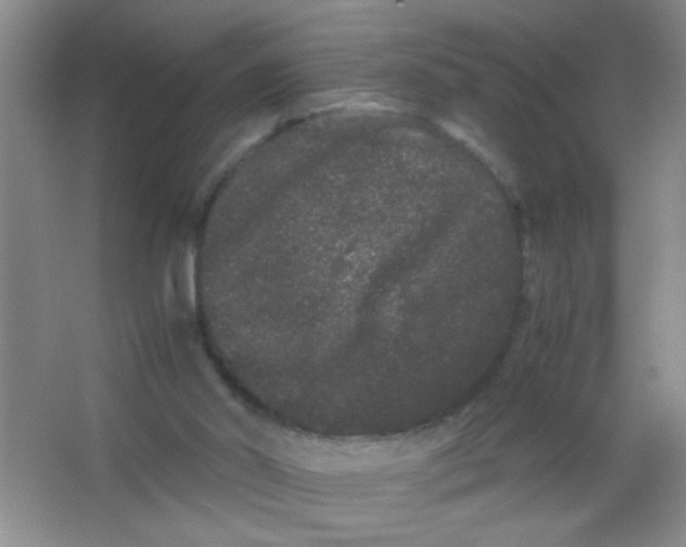 X0000063500014200602101911