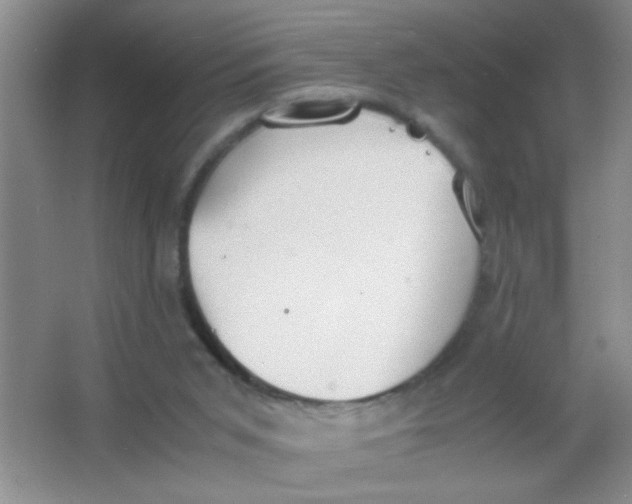 X0000063500015200602101911