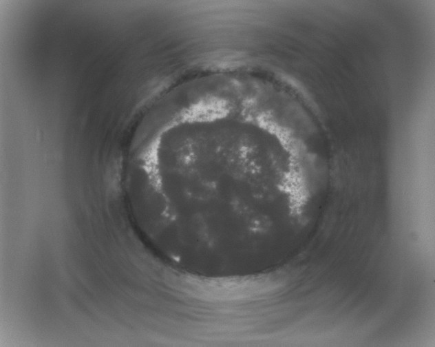 X0000063500018200602101911