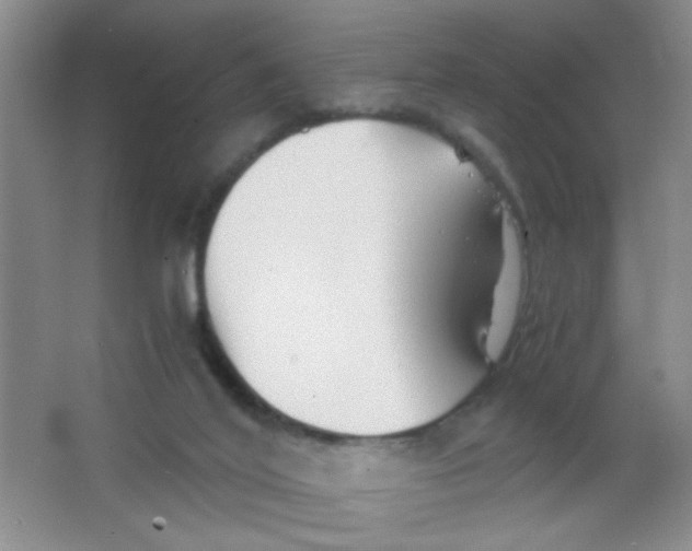 X0000063500020200602101911