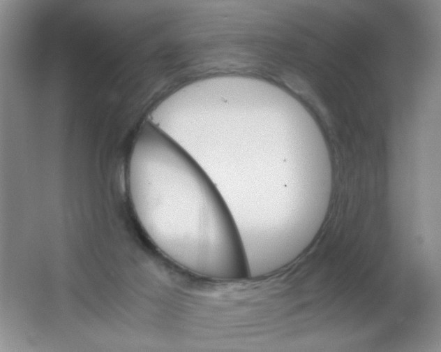 X0000063500021200602101911