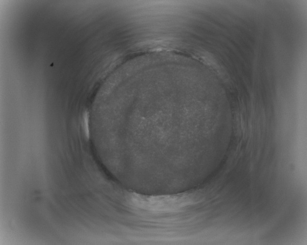 X0000063500022200602101911