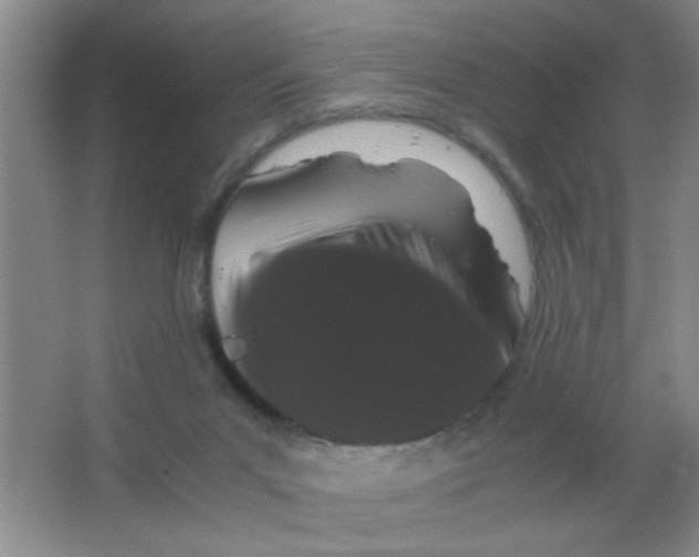 X0000063500023200602101911