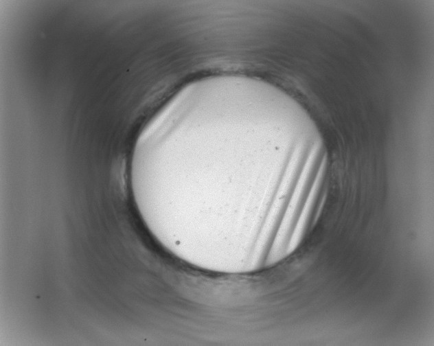 X0000063500024200602101911