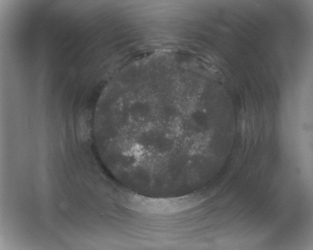 X0000063500030200602101911