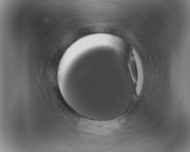 X0000063500031200602101911