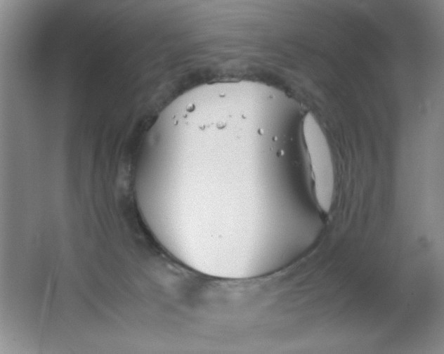 X0000063500033200602101911