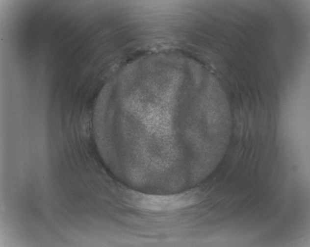 X0000063500034200602101911