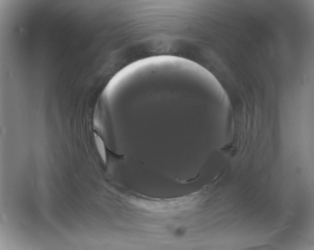 X0000063500035200602101911