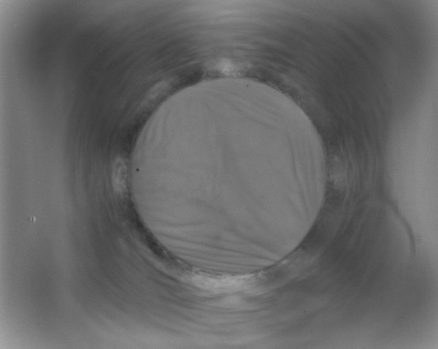 X0000063500036200602101911