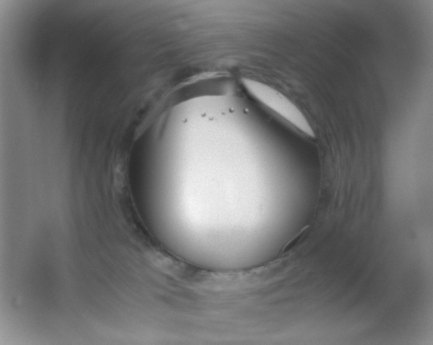 X0000063500037200602101911