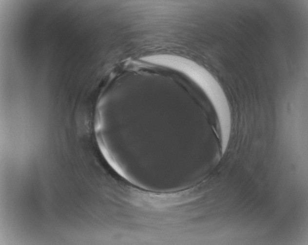 X0000063500039200602101911