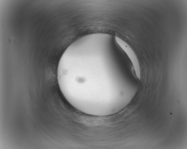 X0000063500040200602101911