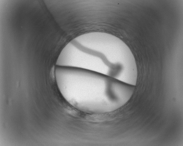 X0000063500041200602101911