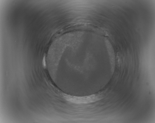 X0000063500042200602101911