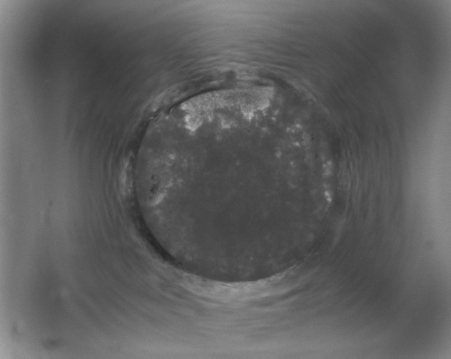 X0000063500043200602101911