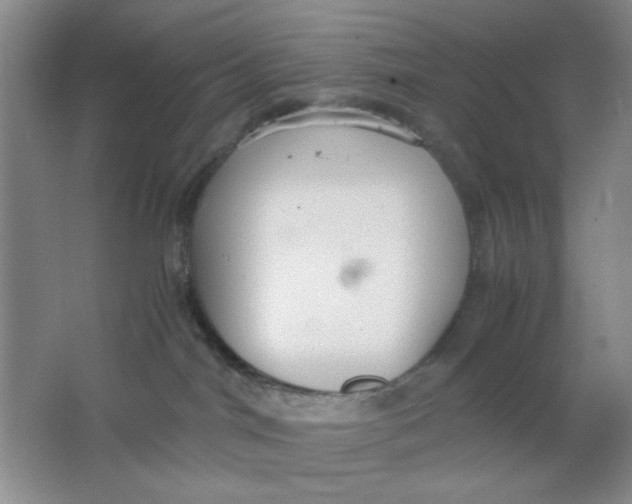 X0000063500044200602101911