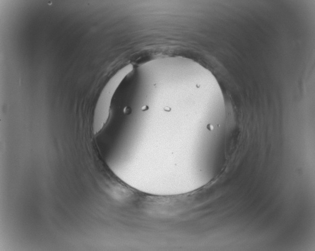 X0000063500045200602101911