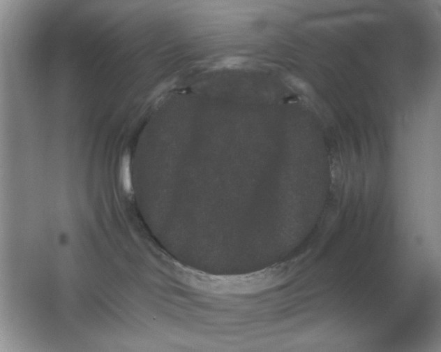 X0000063500046200602101911