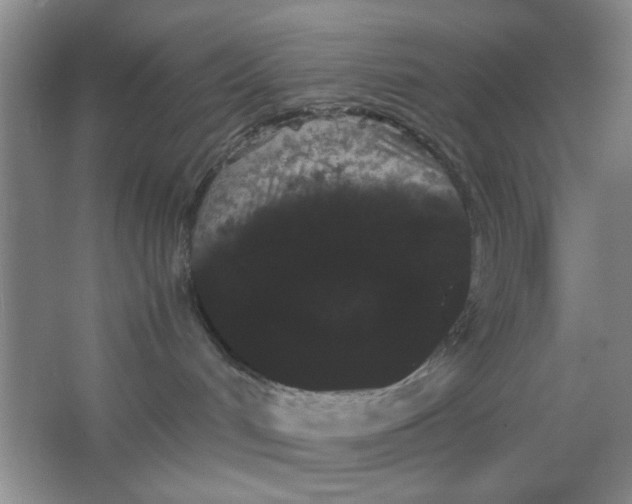 X0000063500048200602101911