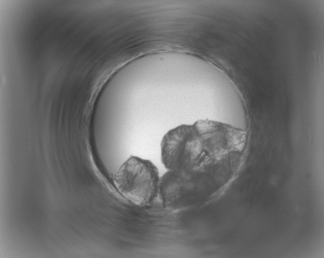 X0000063500049200602101910