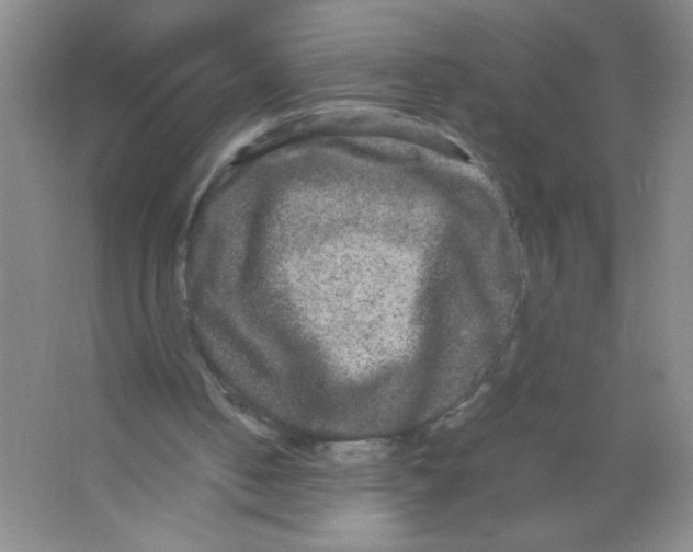 X0000063500050200602101910