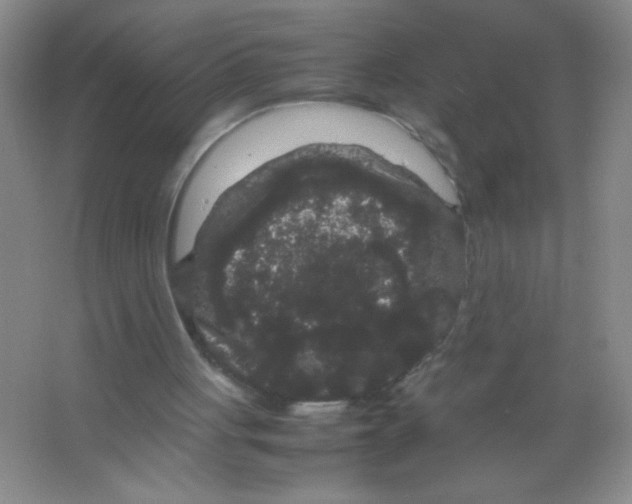 X0000063500051200602101910