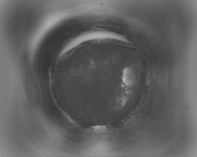 X0000063500052200602101910