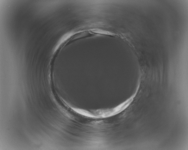 X0000063500054200602101910