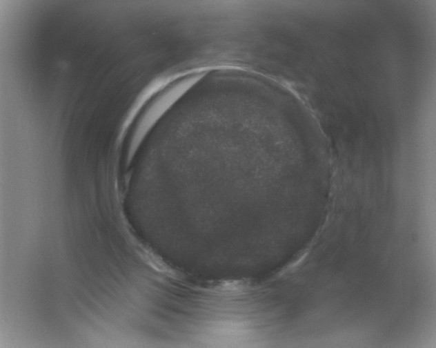 X0000063500056200602101910