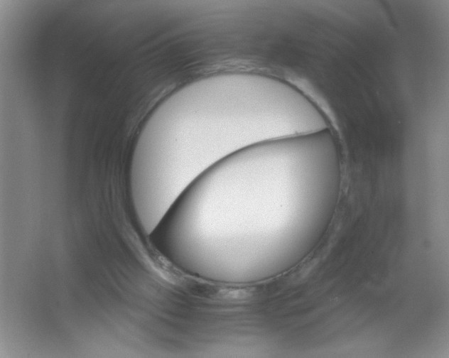 X0000063500057200602101910