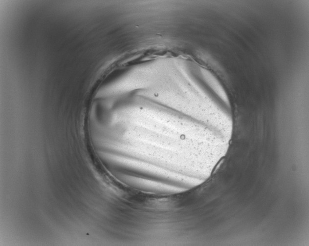 X0000063500058200602101910