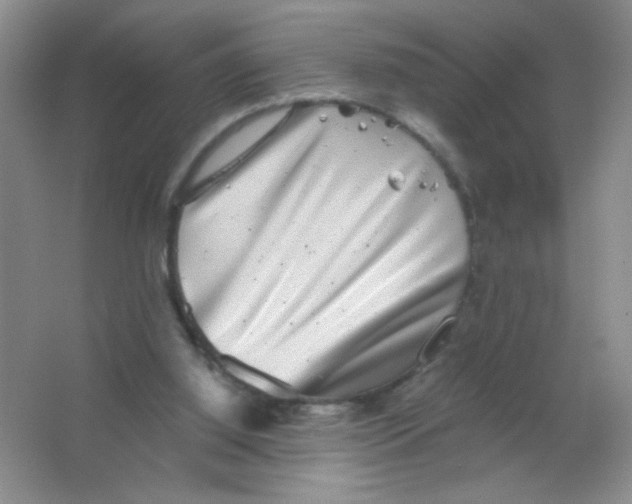 X0000063500060200602101910