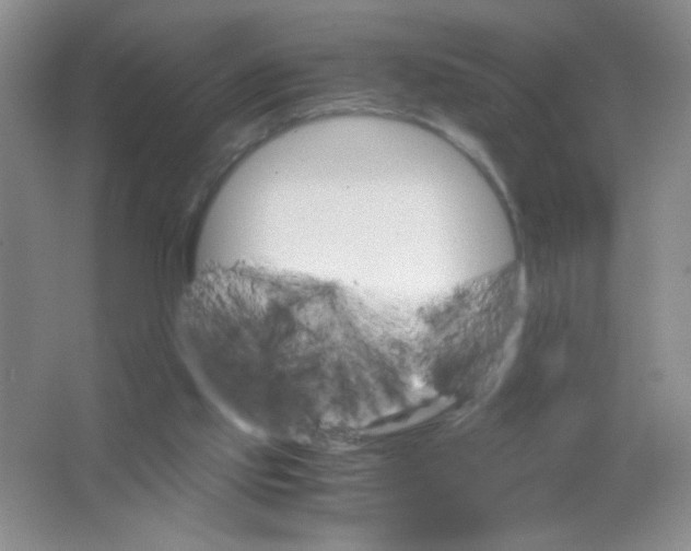 X0000063500061200602101910