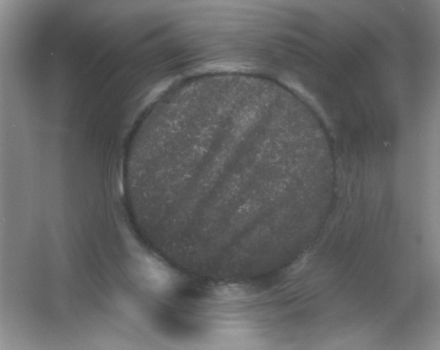 X0000063500062200602101910