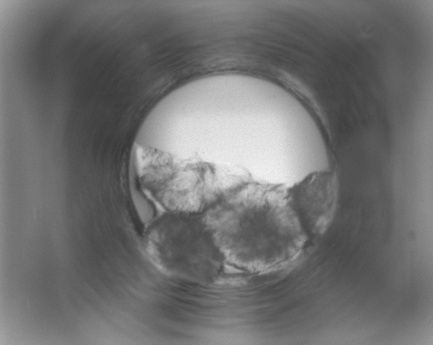 X0000063500065200602101910