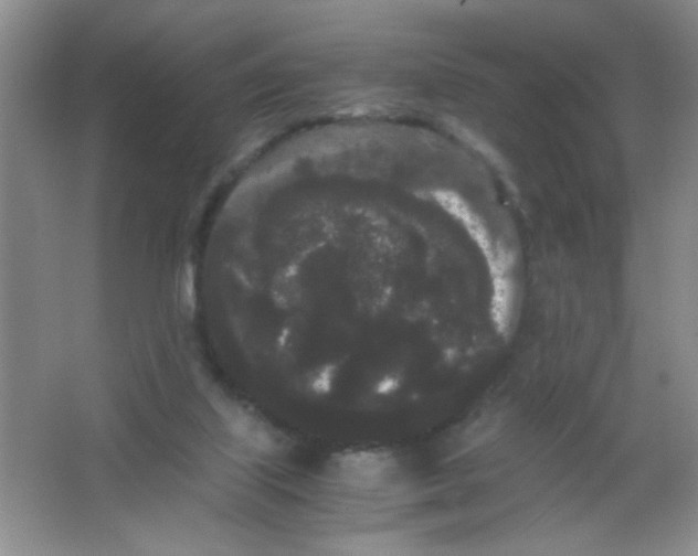 X0000063500067200602101910