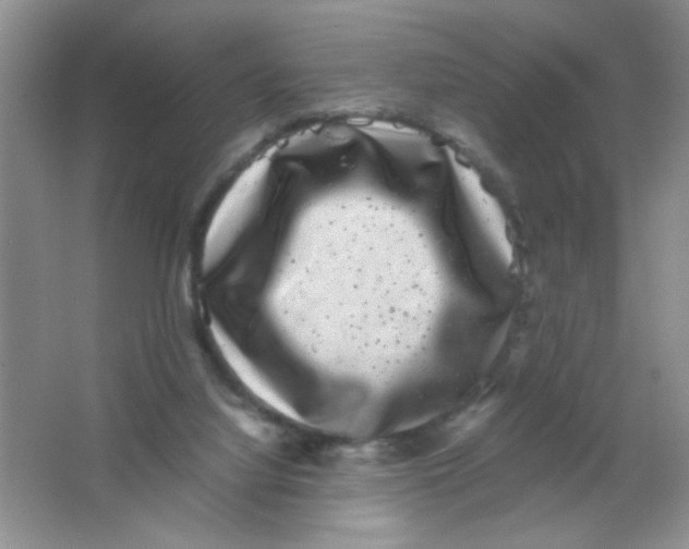 X0000063500068200602101910