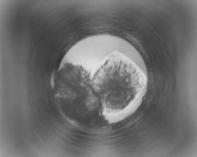 X0000063500069200602101910