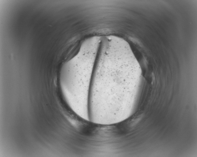 X0000063500072200602101910