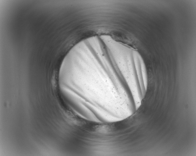 X0000063500074200602101910