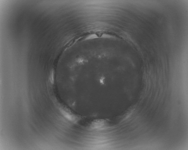 X0000063500076200602101910