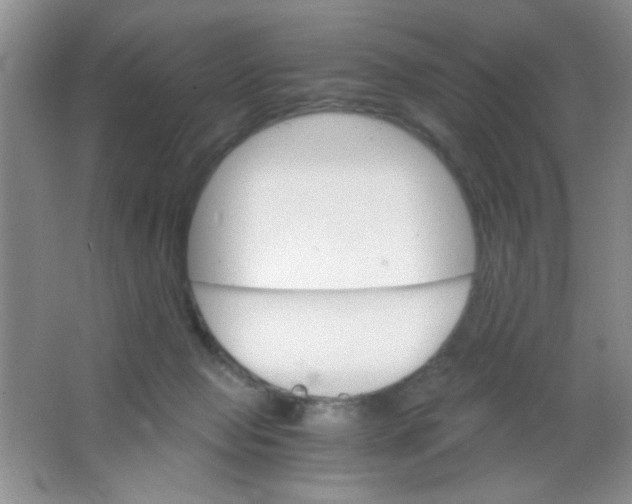 X0000063500077200602101910